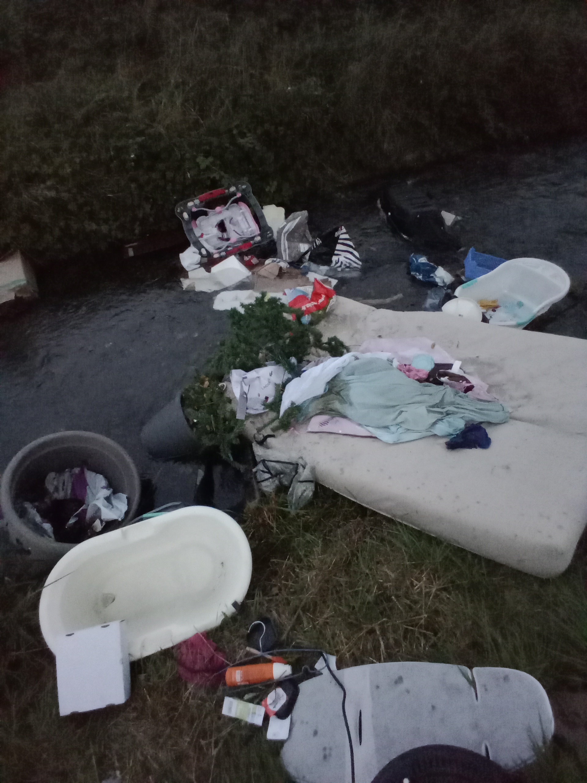 déchet sauvage _1_.jpg