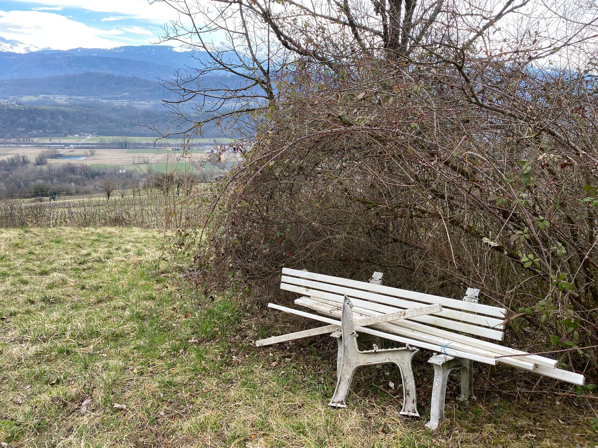 un banc oublié en plein nature! 03-2022.jpg