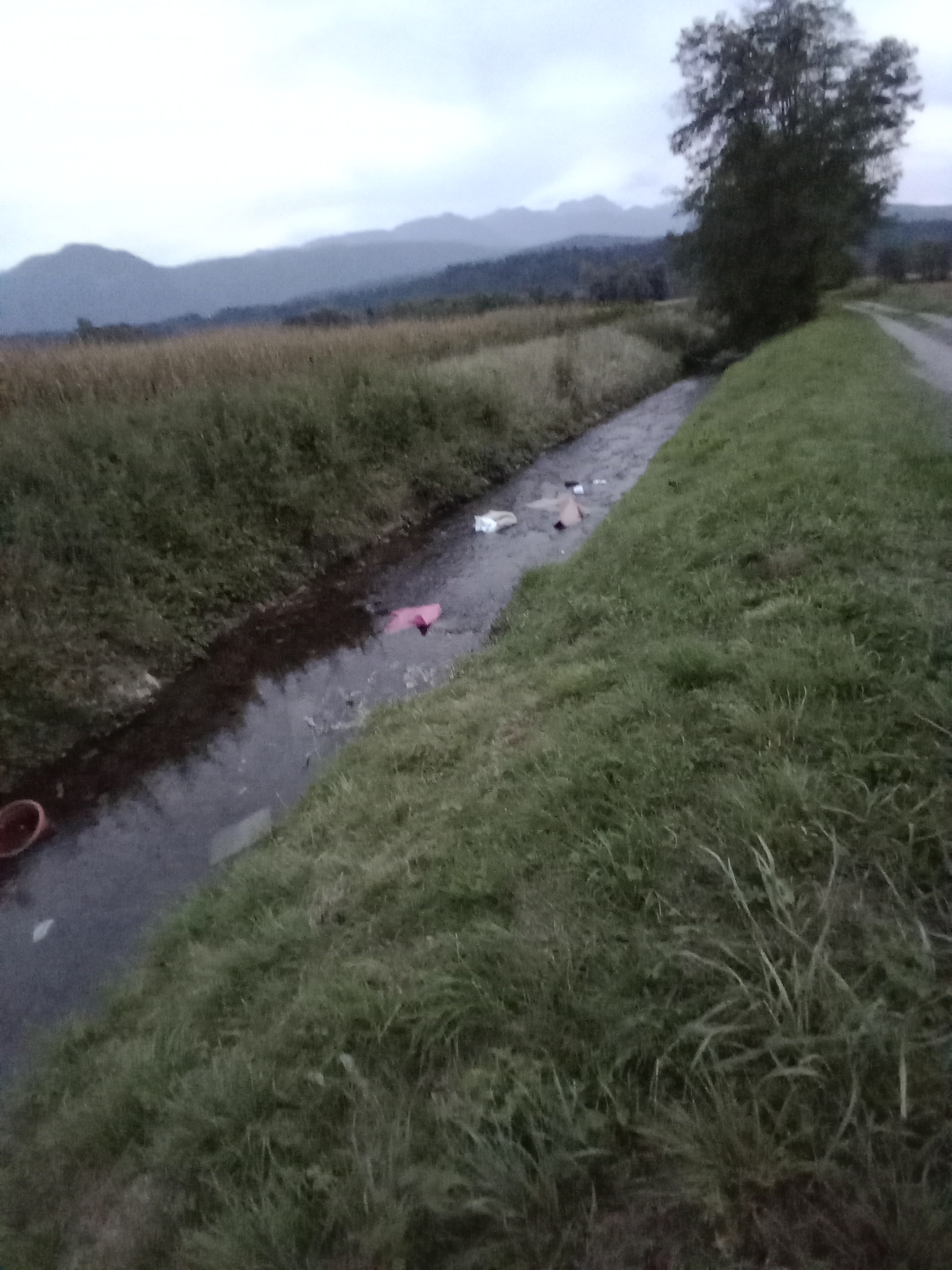 déchet sauvage _8_.jpg