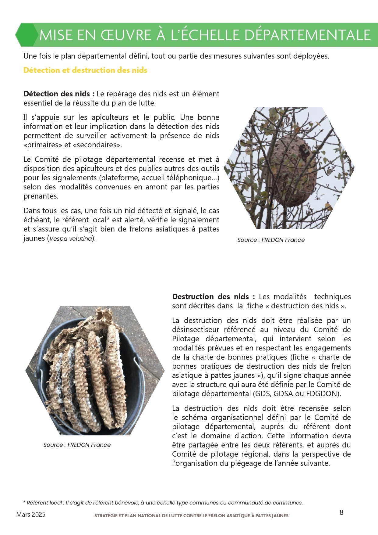 Strategie-et-plan-national-de-lutte-contre-le-frelon-asiatique-a-pattes-jaunes-2025_page-0008.jpg