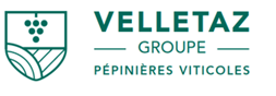 VELLETAZ Groupe