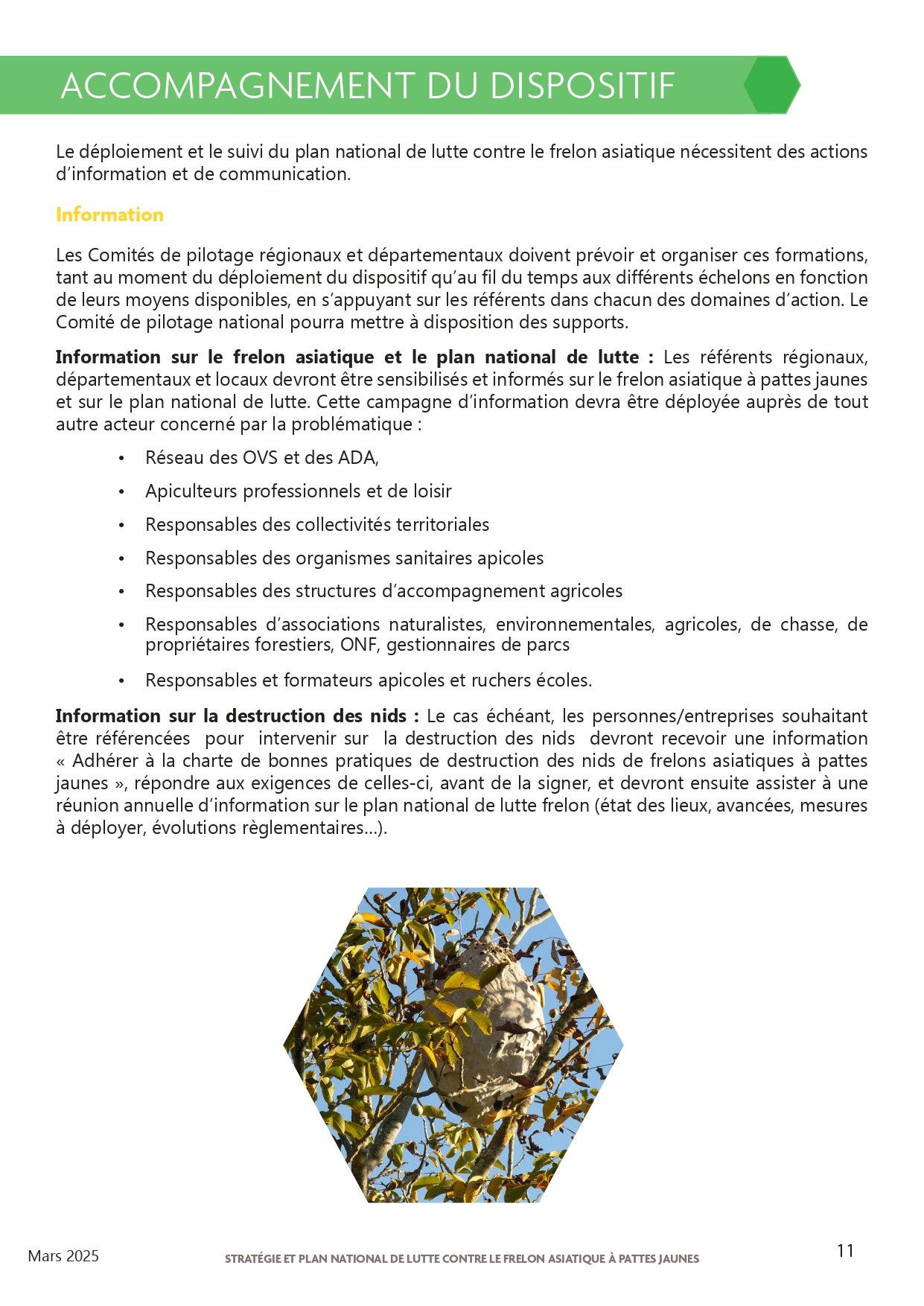 Strategie-et-plan-national-de-lutte-contre-le-frelon-asiatique-a-pattes-jaunes-2025_page-0011.jpg