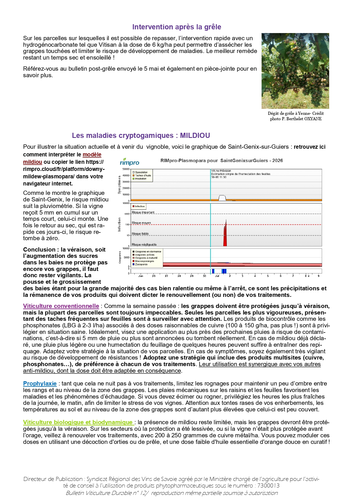BVD_12-2026_page-0003.jpg