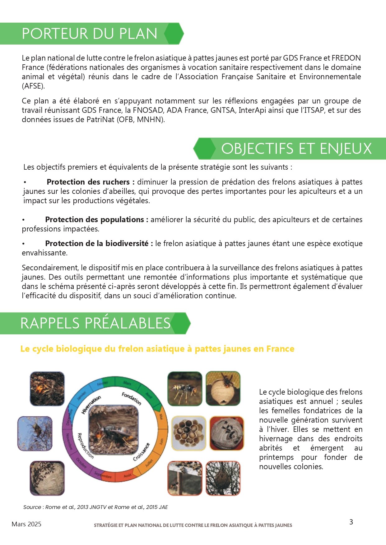 Strategie-et-plan-national-de-lutte-contre-le-frelon-asiatique-a-pattes-jaunes-2025_page-0003.jpg