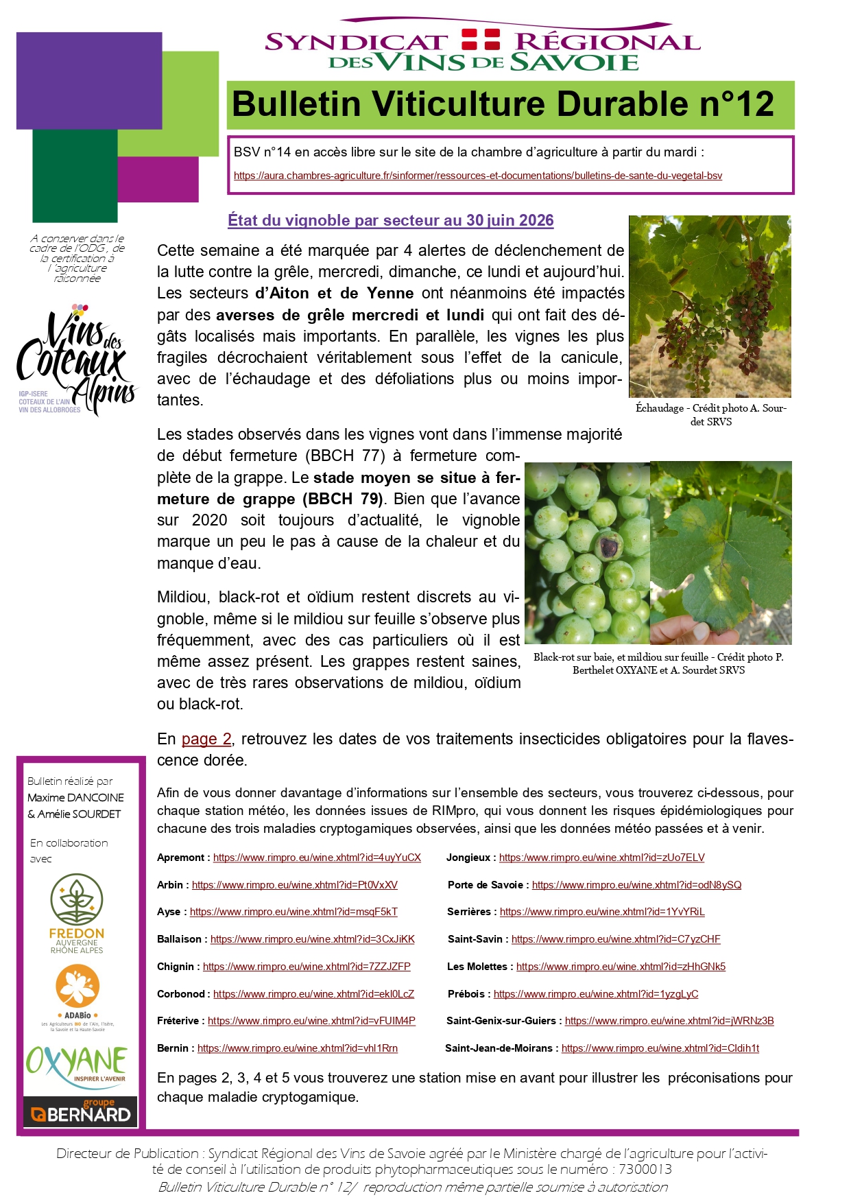 BVD_12-2026_page-0001.jpg