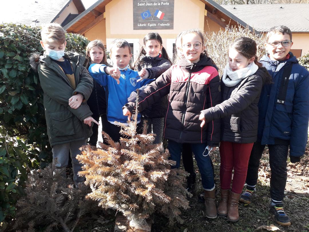 le 05-03 devant l_école un sapin délaissé!.jpg