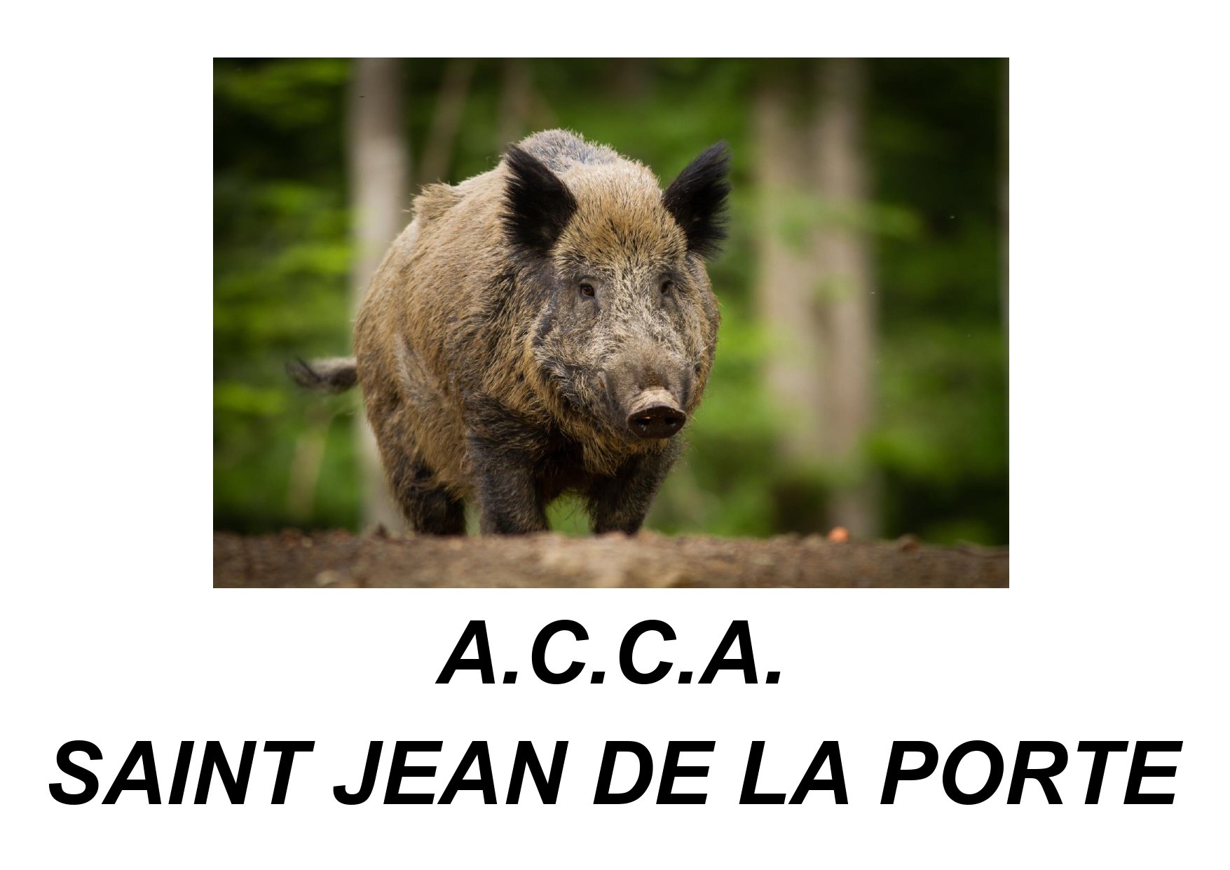 logo acca St Jean de la Porte_page-0001.jpg