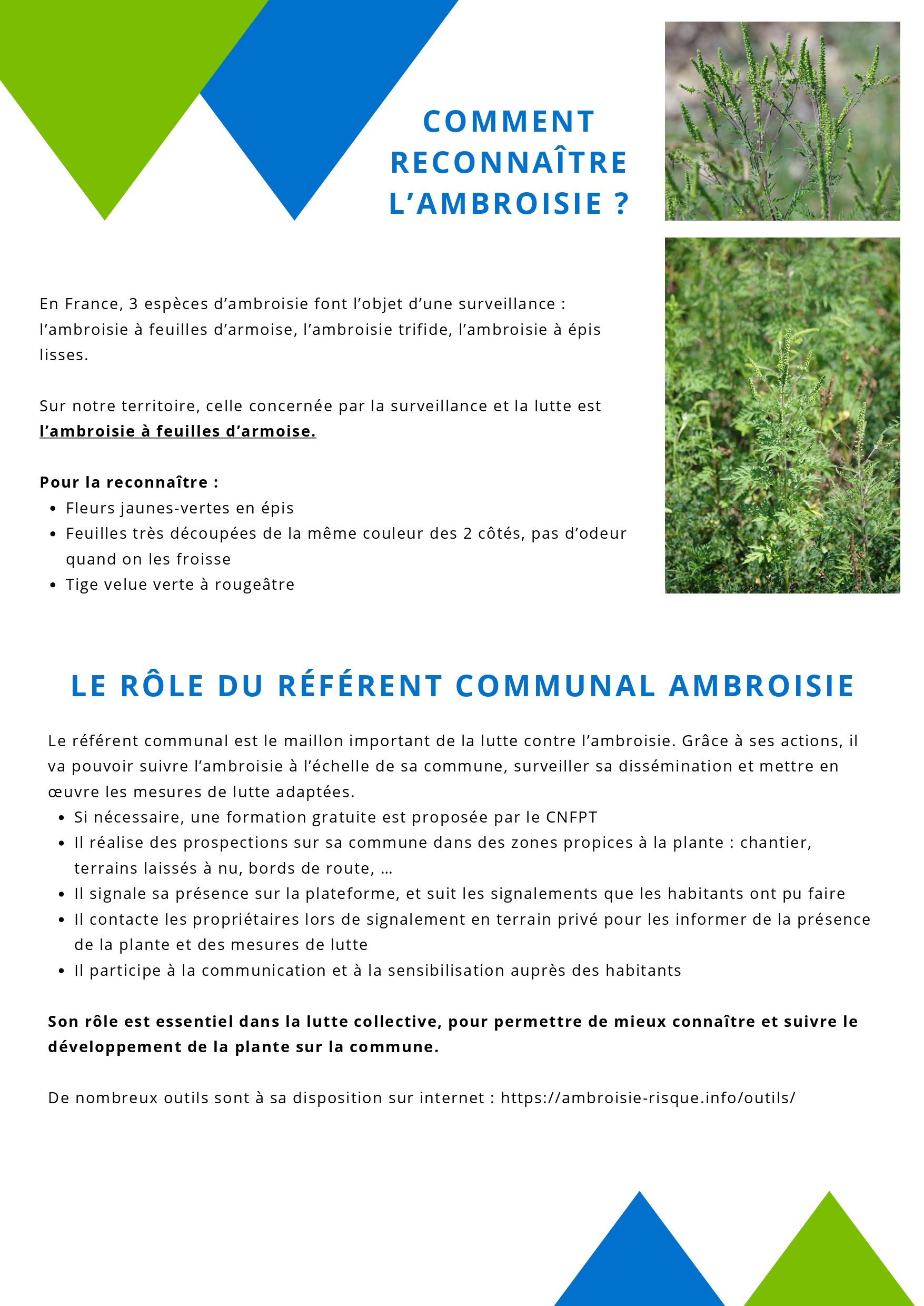 plaquette Ambroisie_page-0003.jpg