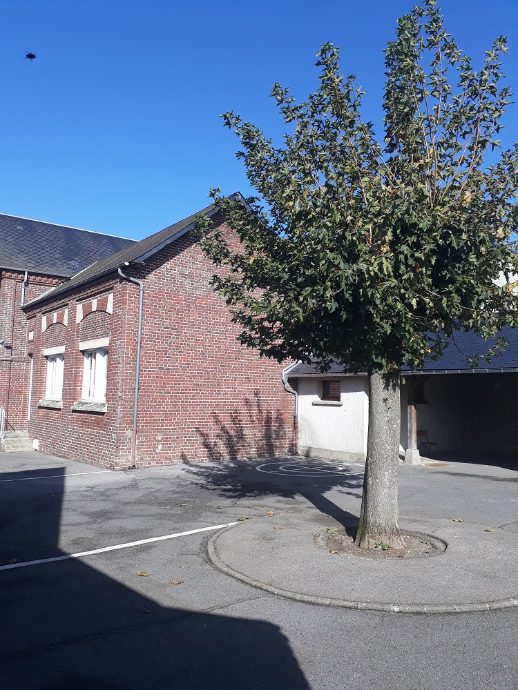 ecole St Rimault 2.jpg
