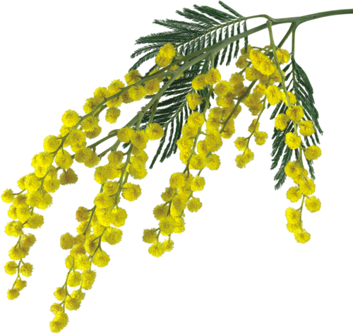 0_51f4e_4fd6b6a4_L.png