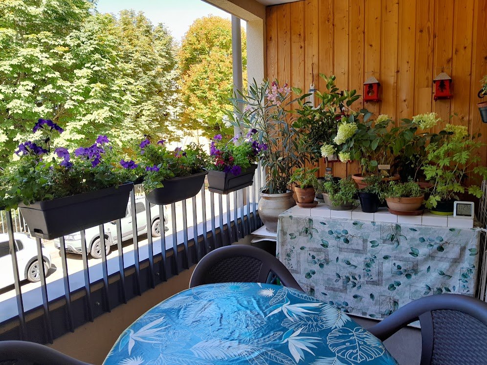 Fleurissement 2024.3.jpg