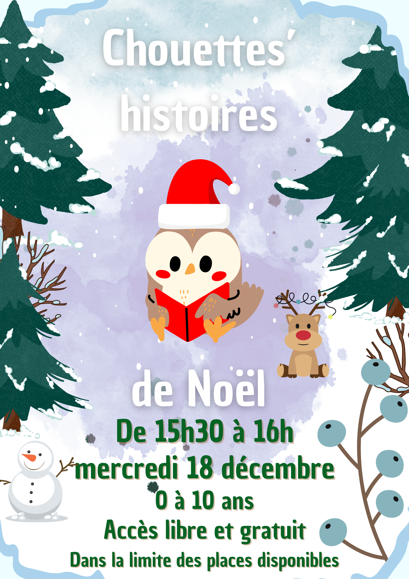 Chouettes_histoires Noël.png