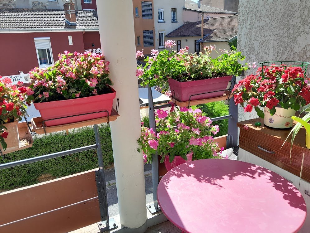 Fleurissement 2024.2.jpg