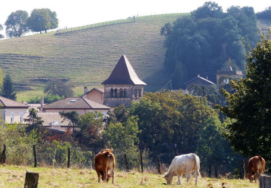 Eglise vue du Métras.jpg