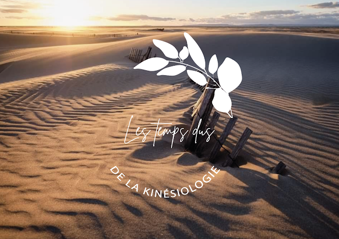 KINESIOLOGUE.png
