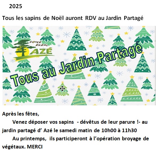 Tous les sapins au JPP 2025.jpg