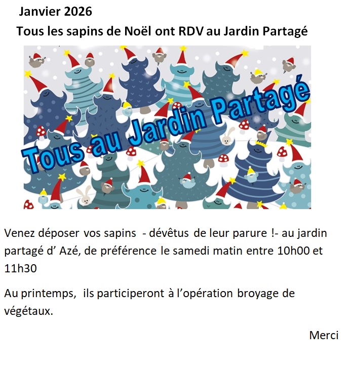 2026 les sapins au jardin.jpg