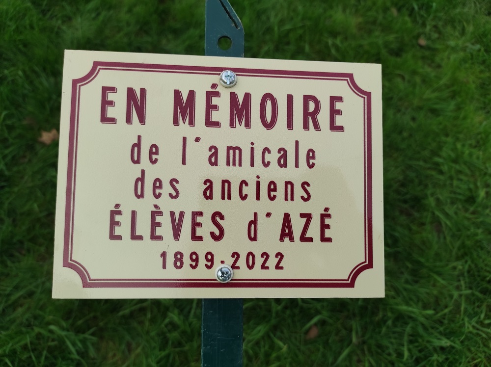 Ancines eleves 2022_06.jpg