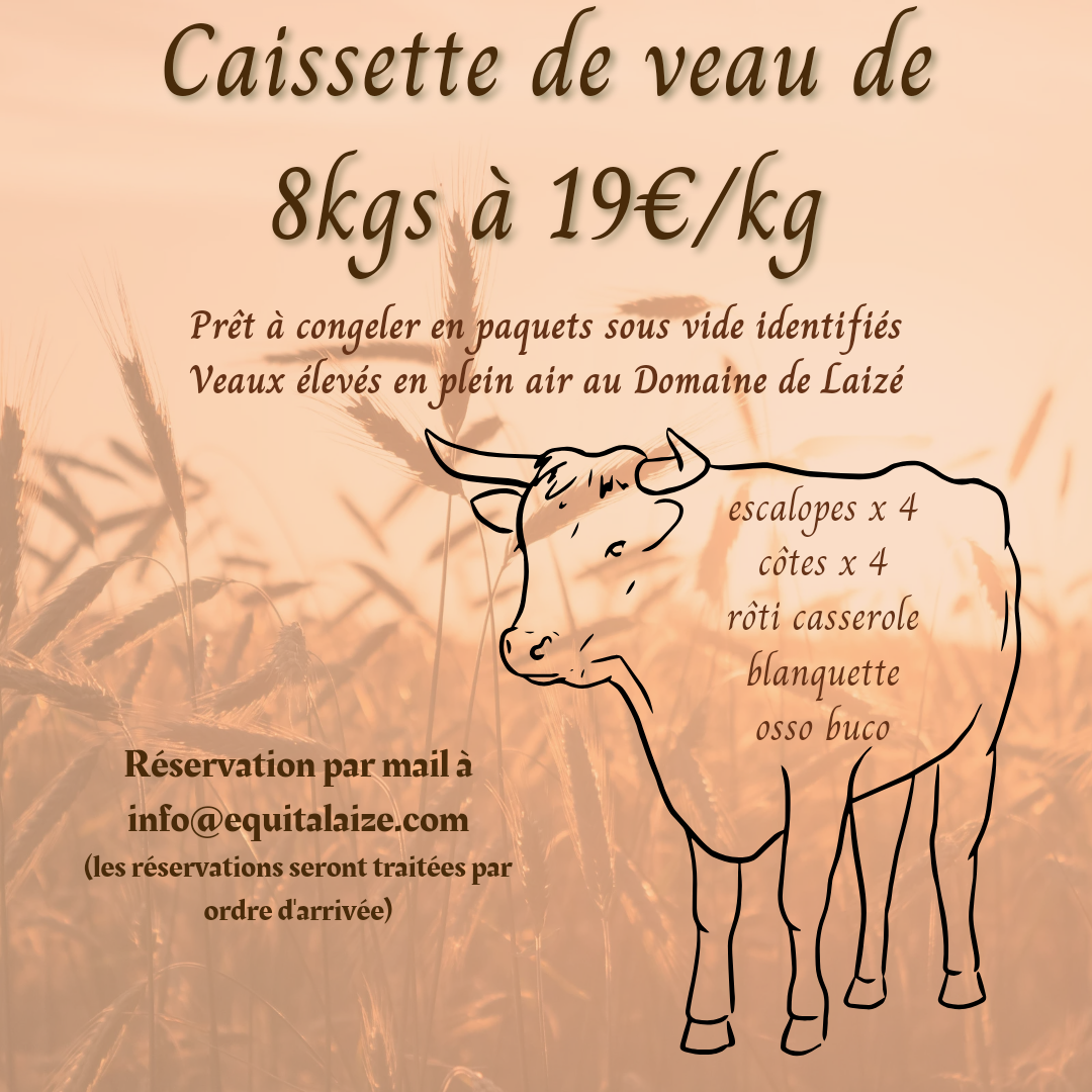 Caissette veau Laize Nov2025.png