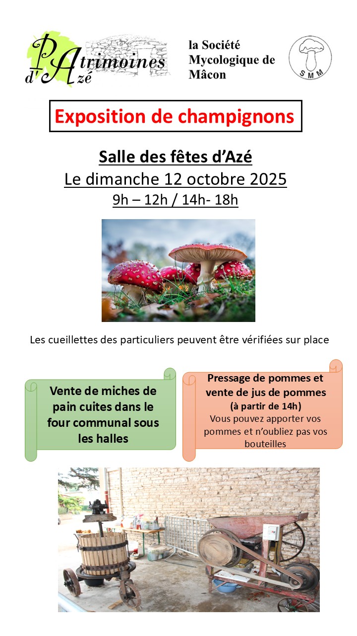 expo champignon 2025.jpg