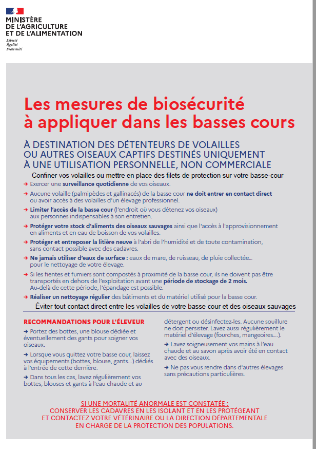 influenza avaiaire 2023.PNG