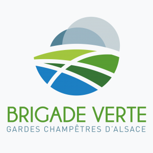 BRIGADES VERTES