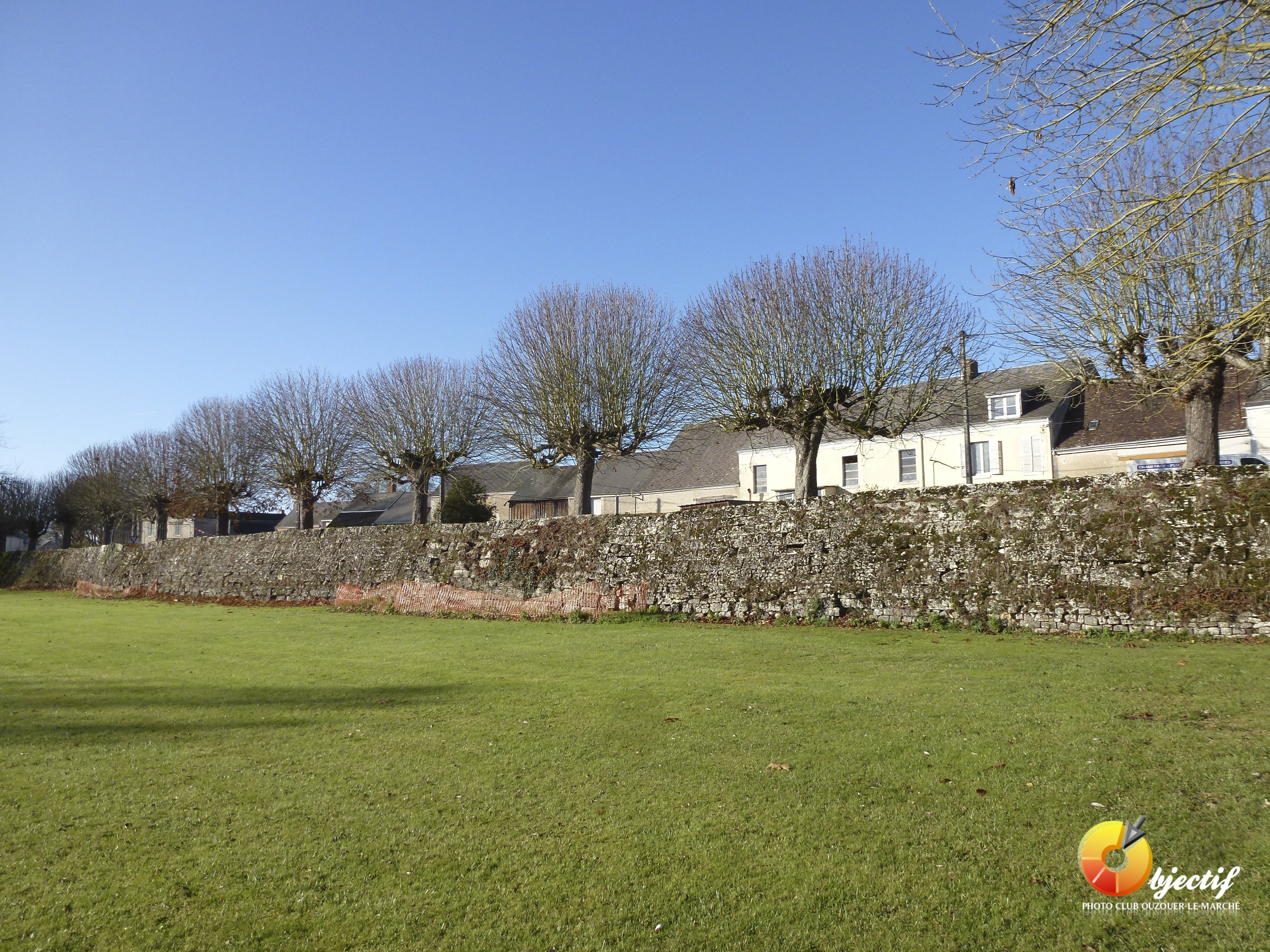 Verdes - P1050277.jpg