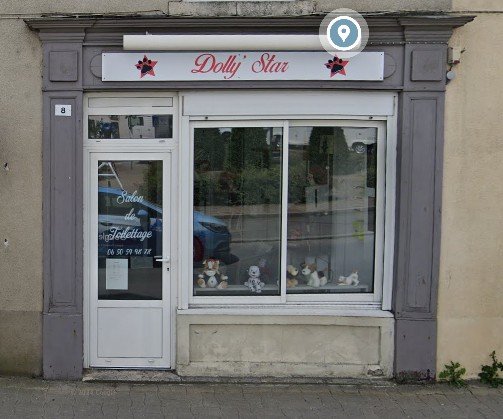 Dolly_star salon toilettage.jpg