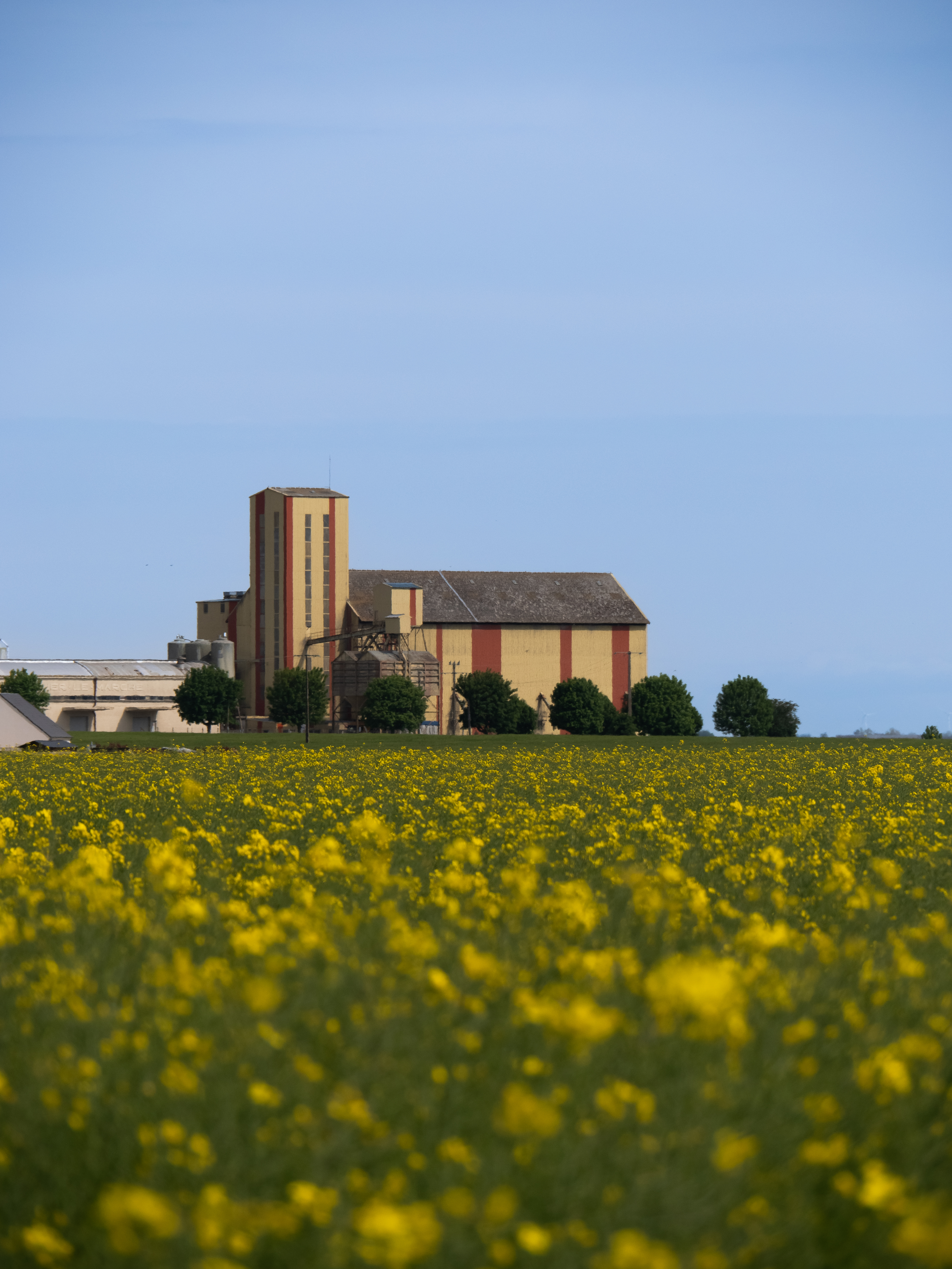 Beauce la Romaine © Giovanna Gaucher _Fichier original_ _17_.jpg