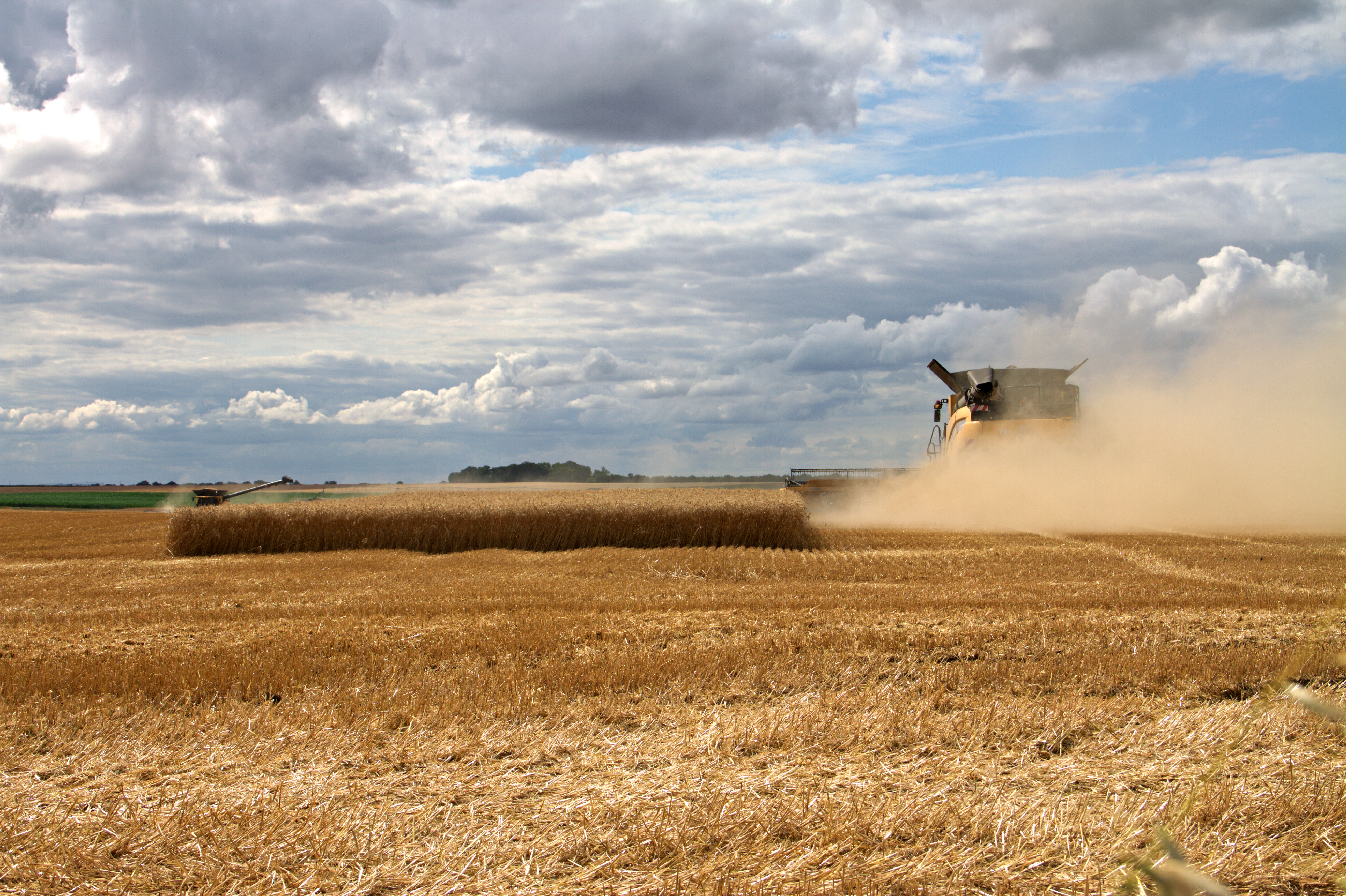 Moisson à Prénouvellon.jpg