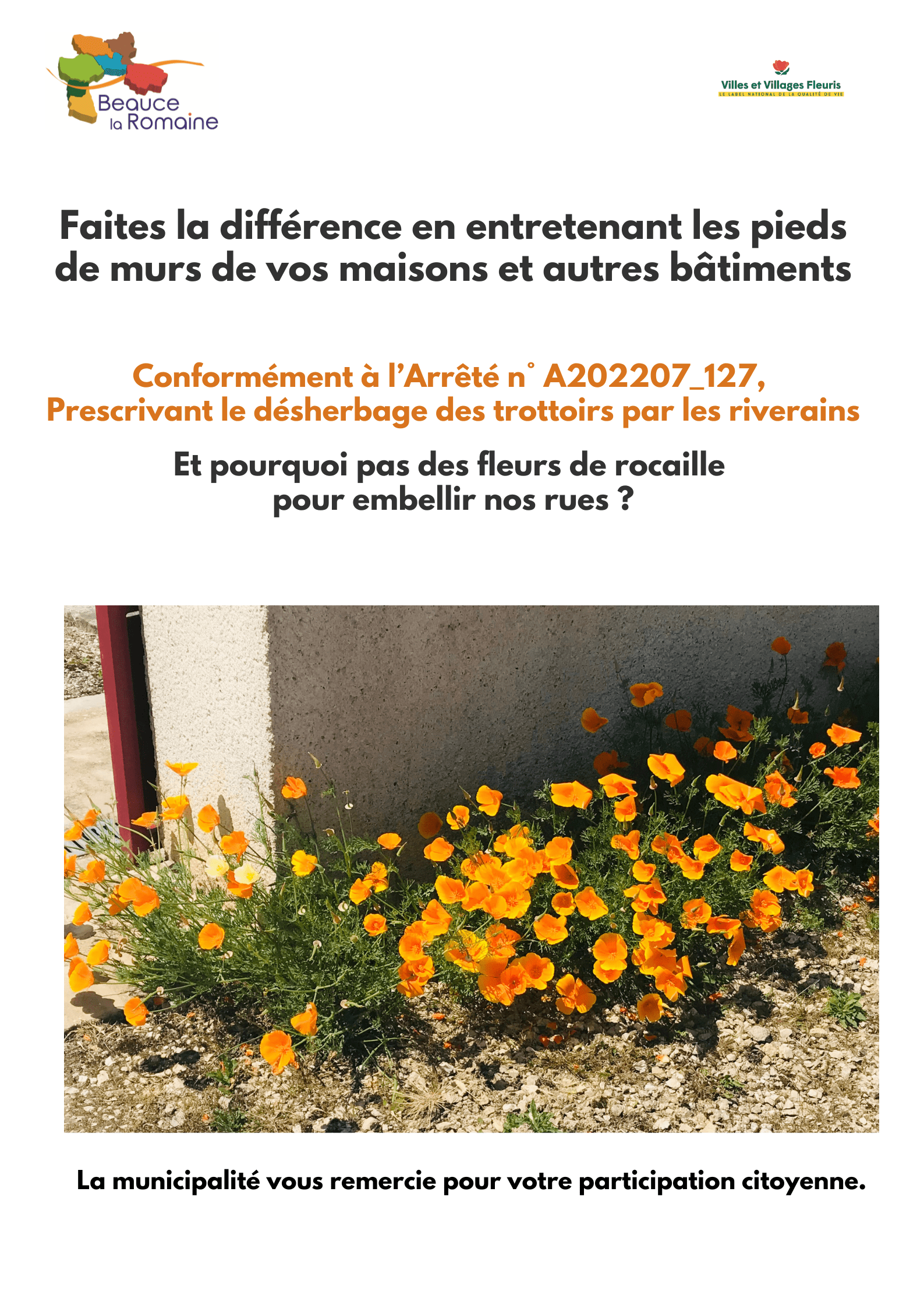 affiche pieds de murs fleurs de rocaille.png