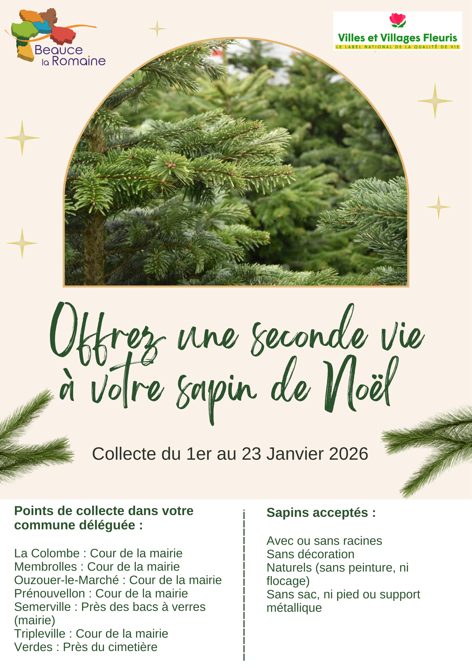 Offrez une seconde vie à votre sapin.png