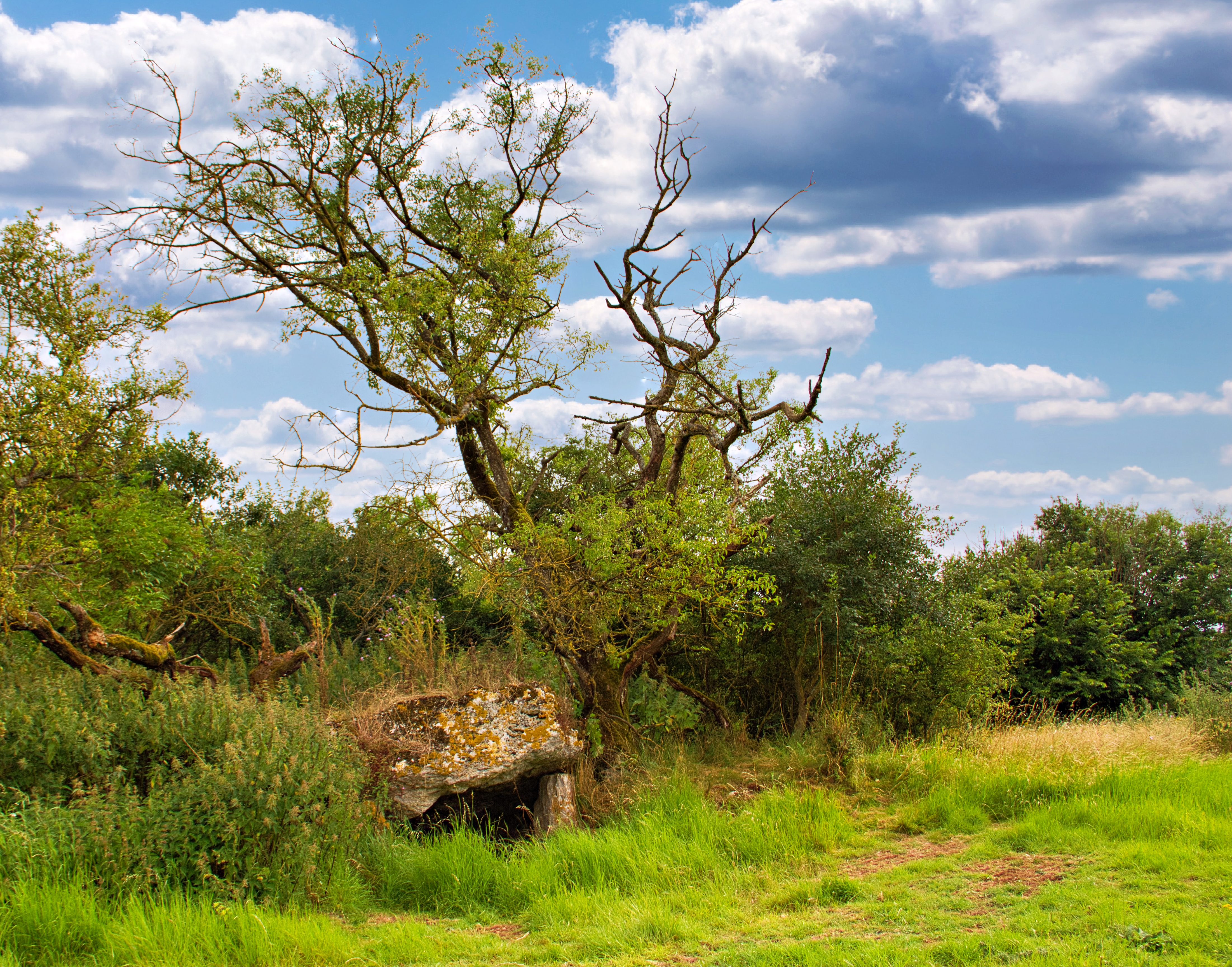 Dolmen de la Rousselière- Prénouvellon.jpg