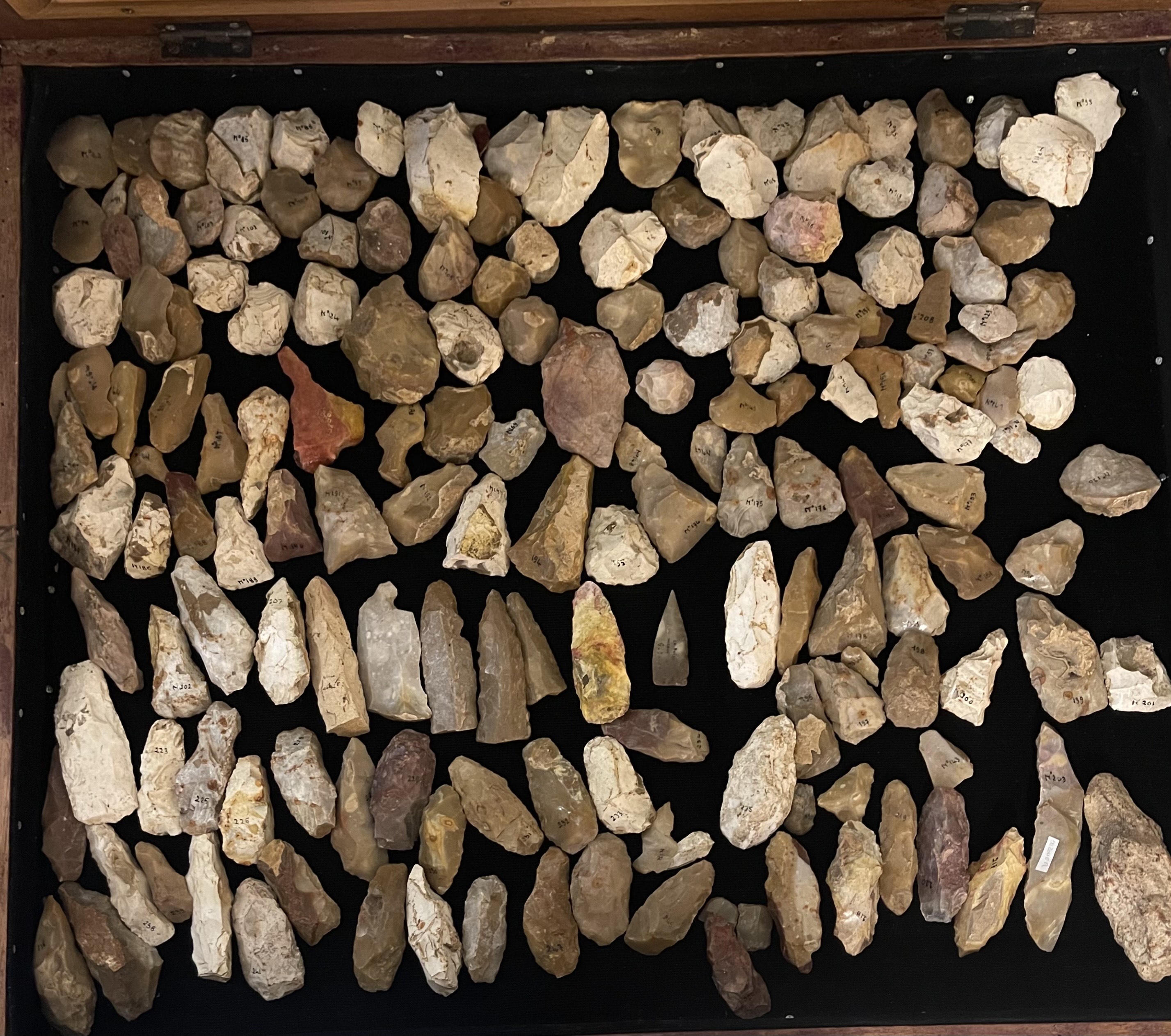 collection