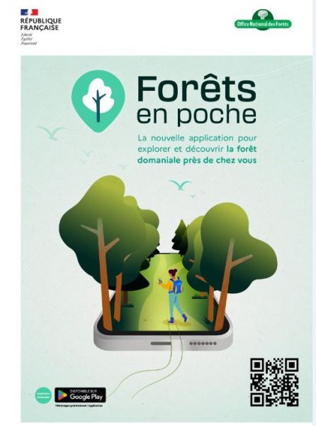 Office national des forêts.jpg