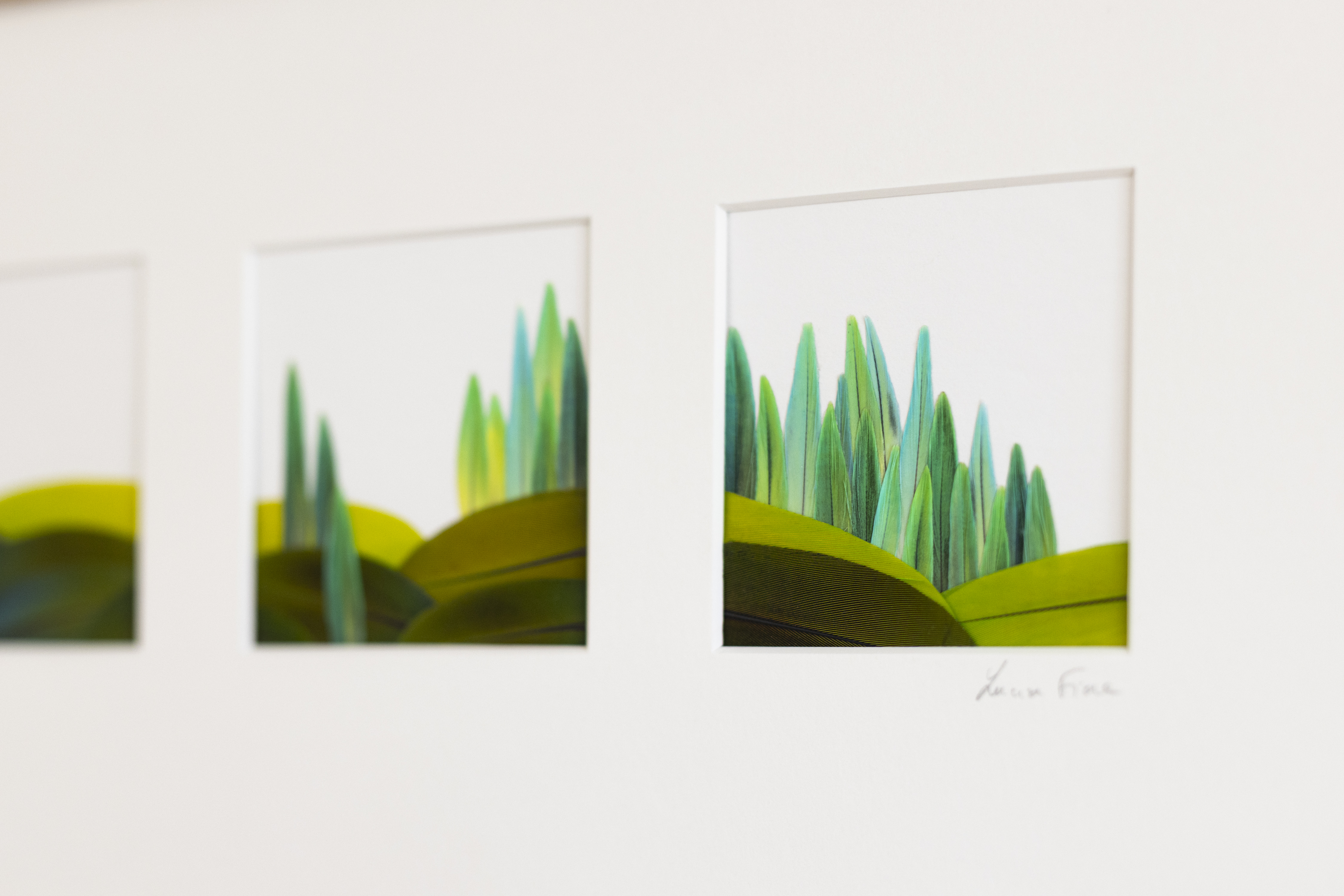 musée exposition lucia fiore _ jérôme coquelin _2_.jpg