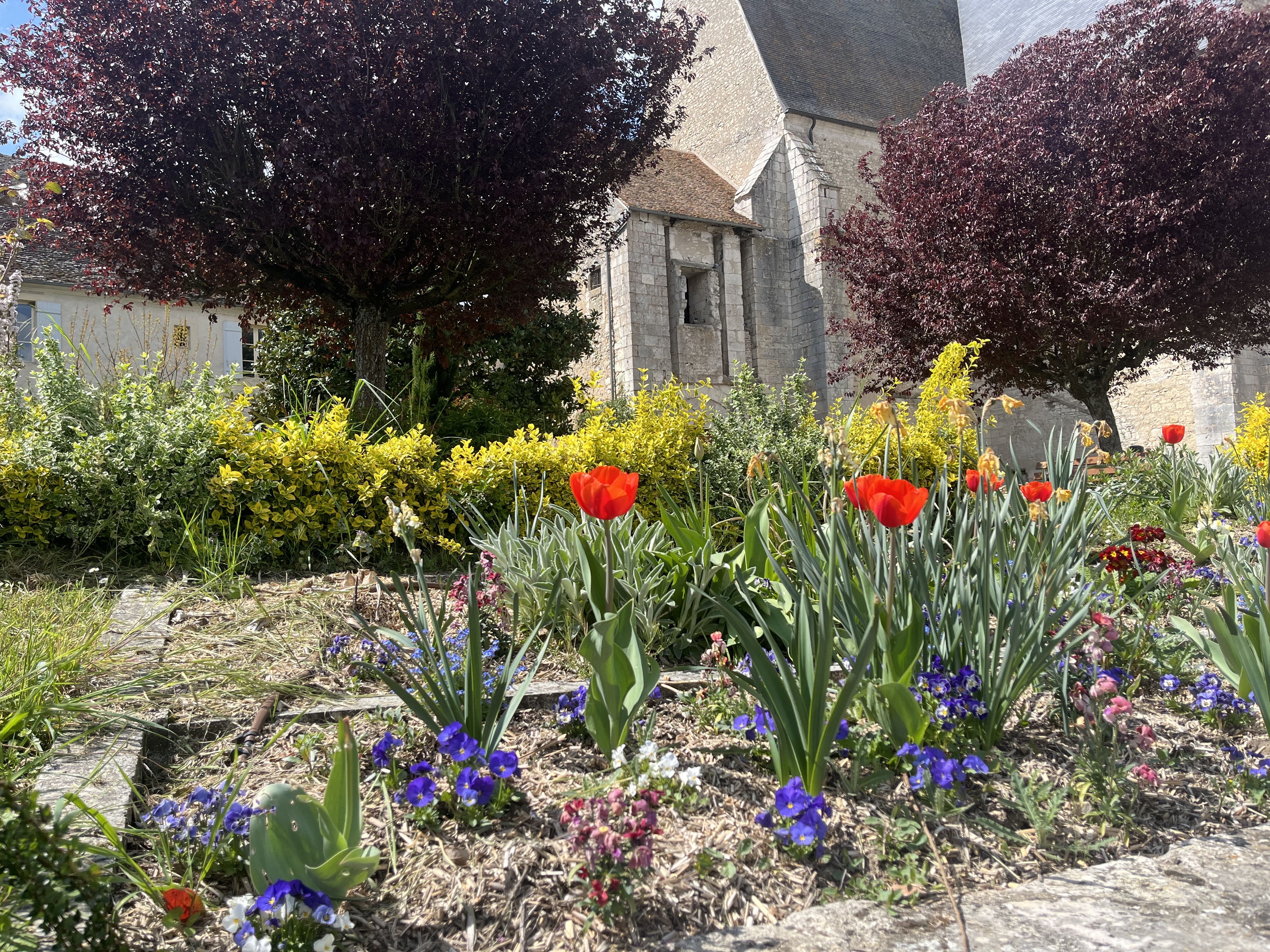 Parterre Eglise.jpeg