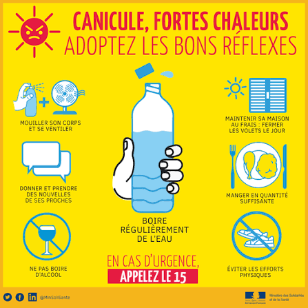 image fortes chaleurs.png