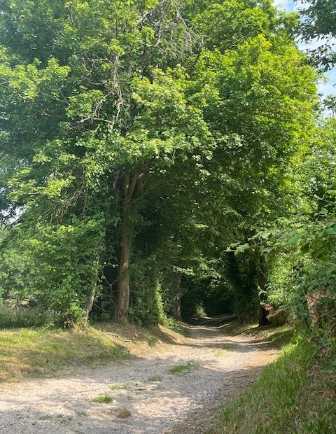Beaulieu-sur-Loire_Le Chapitre_ chemin d_accès.jpg
