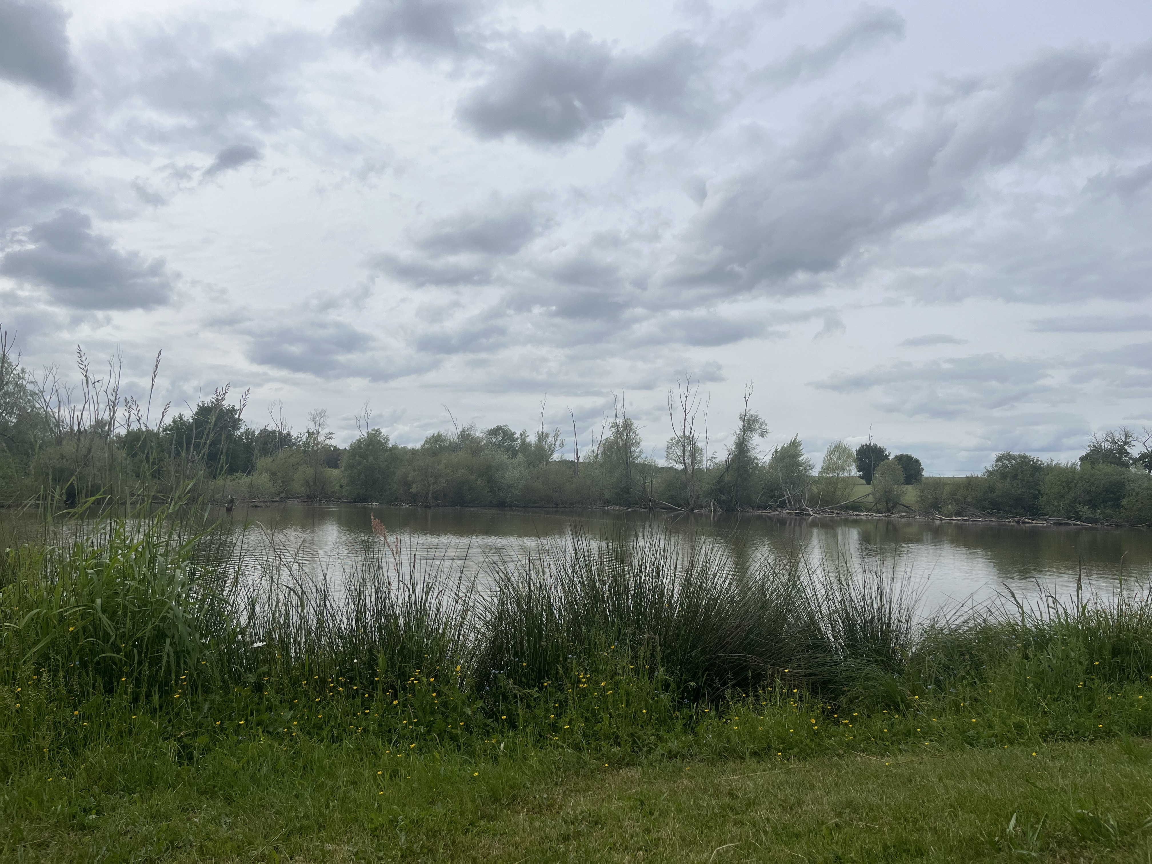 Beaulieu-sur-Loire_Les Brosses_ étang.jpeg