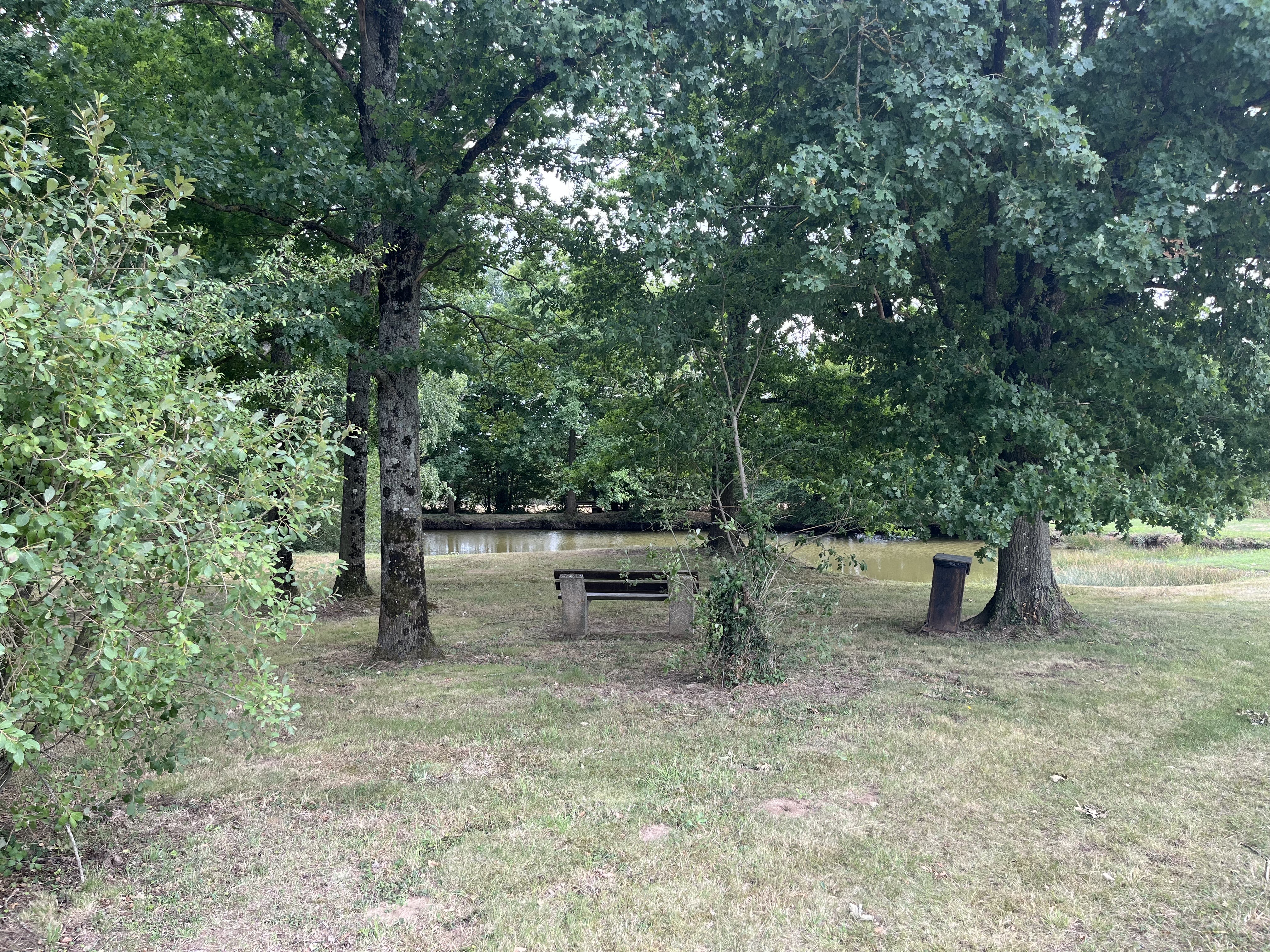 Beaulieu-sur-Loire_Les Henrions_ mare.jpeg