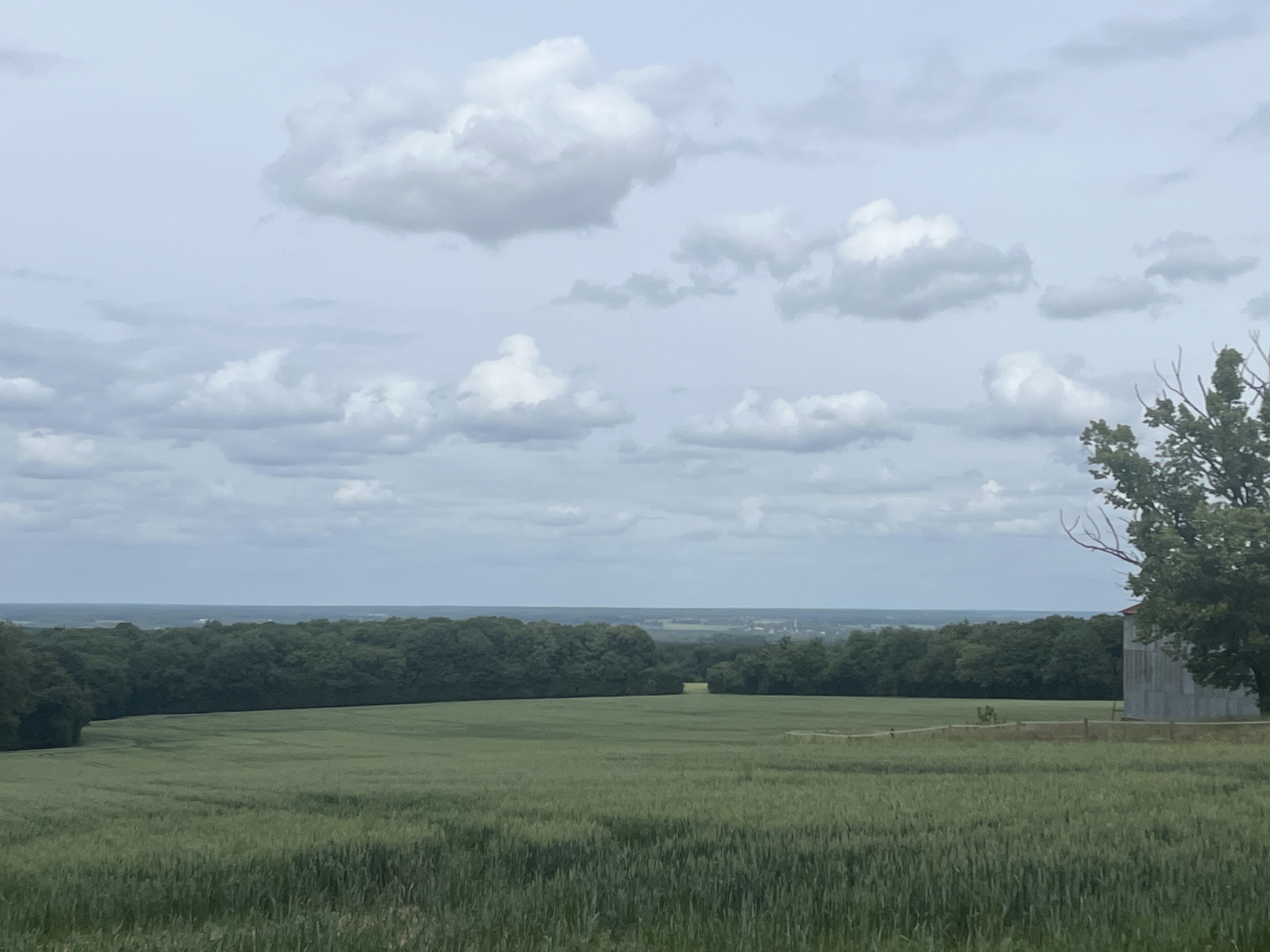 Vue des Collinets.jpeg