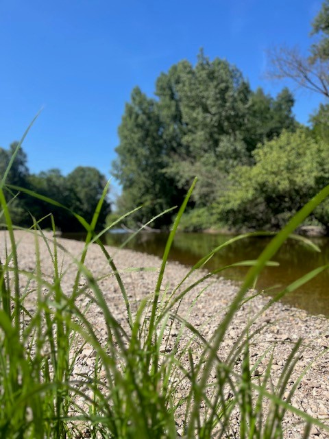La Loire 2.jpg