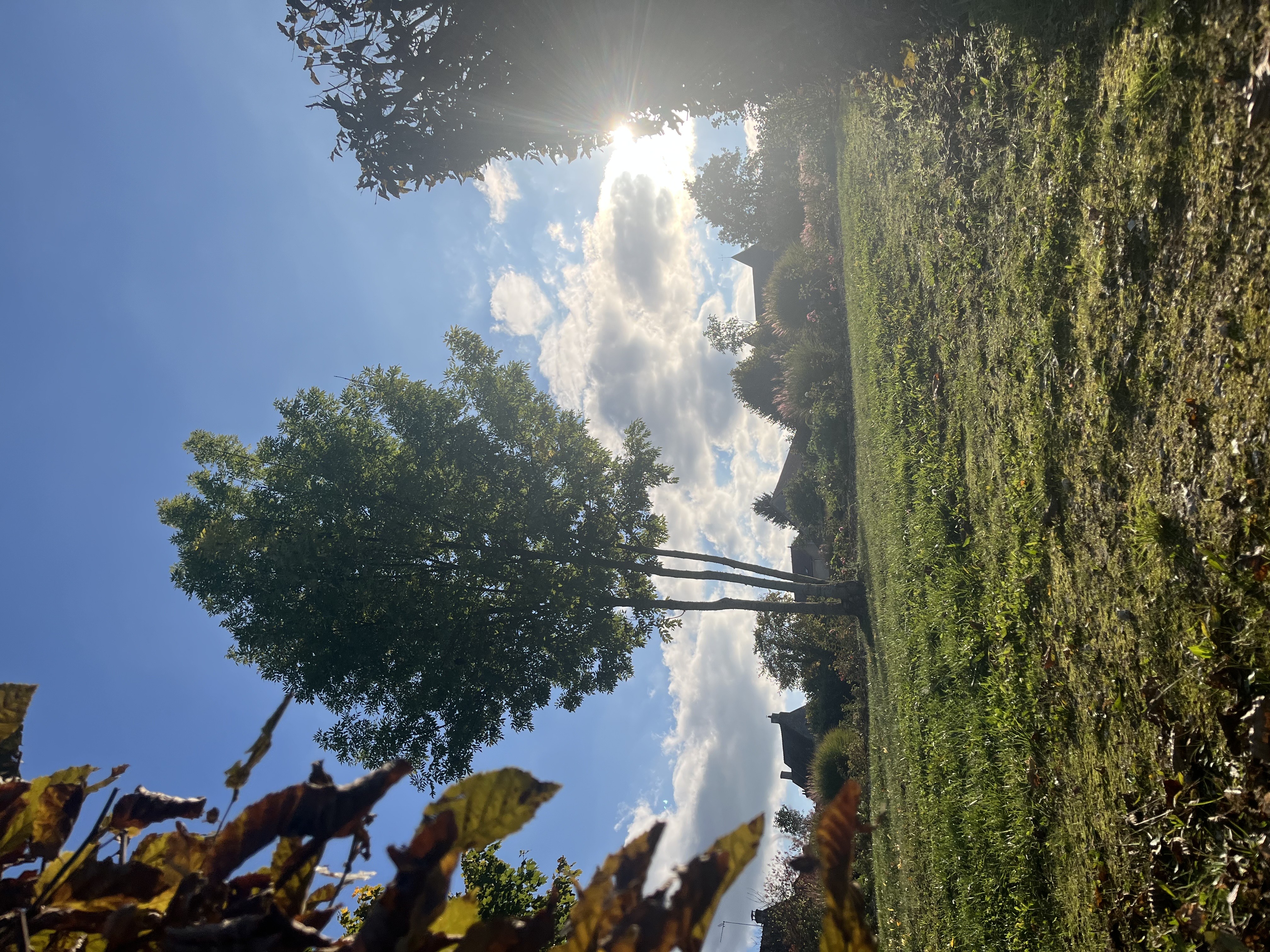 Beaulieu-sur-Loire_Jardin des 5 sens_octobre 2025.jpeg