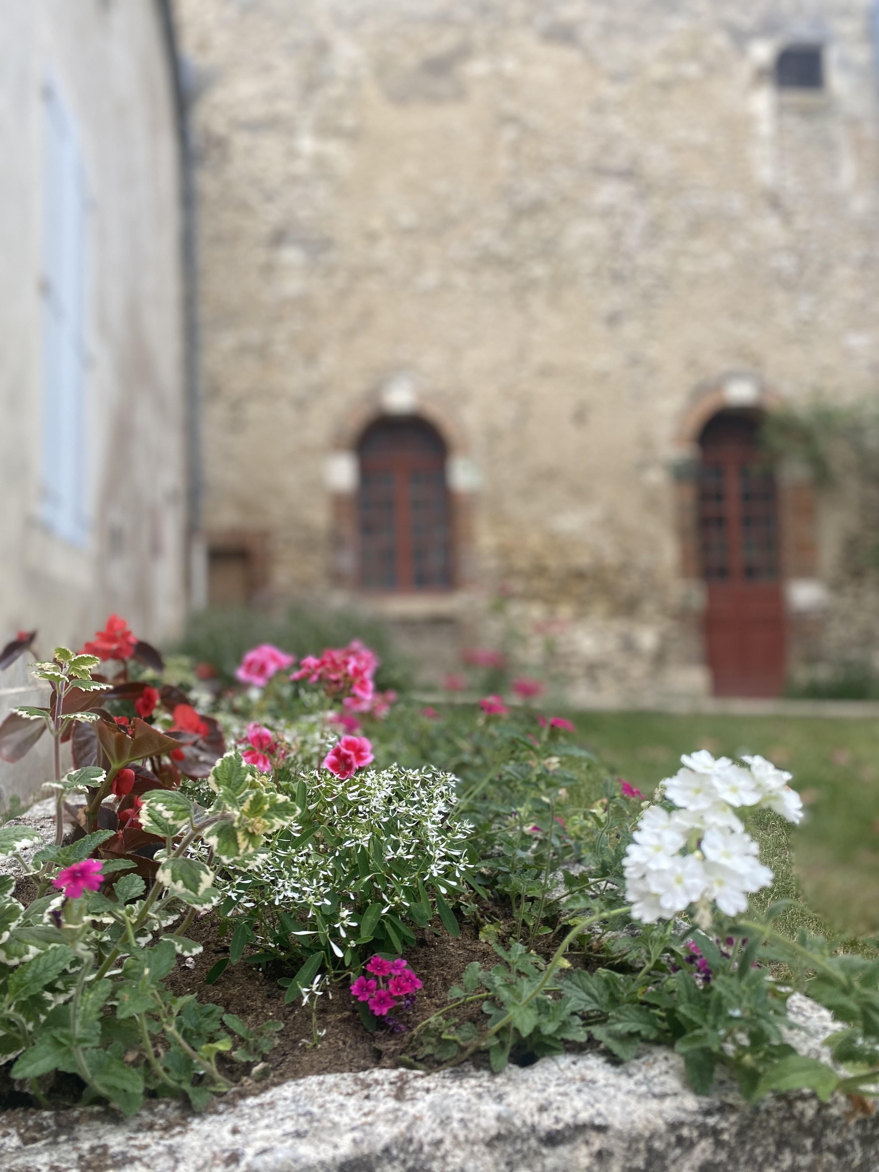 fleurs eglise.jpeg