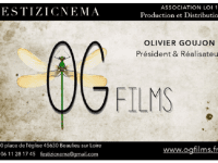 logo festizicnema.png