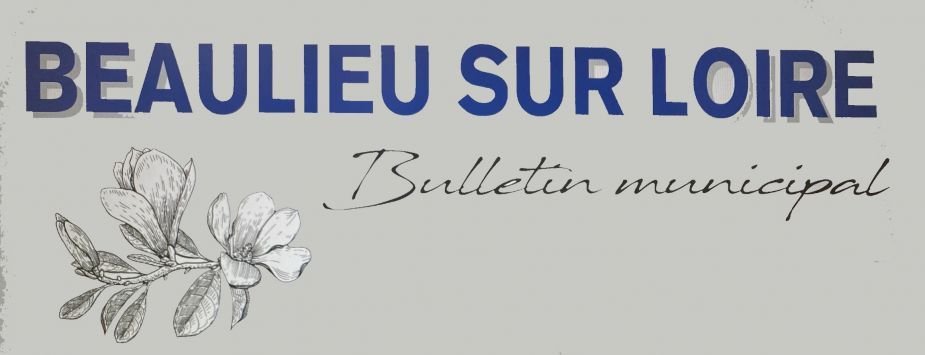 bulletin municipal.jpg