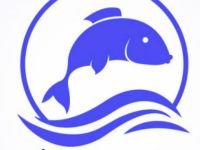 Logo pêcheurs bellocéens.jpg