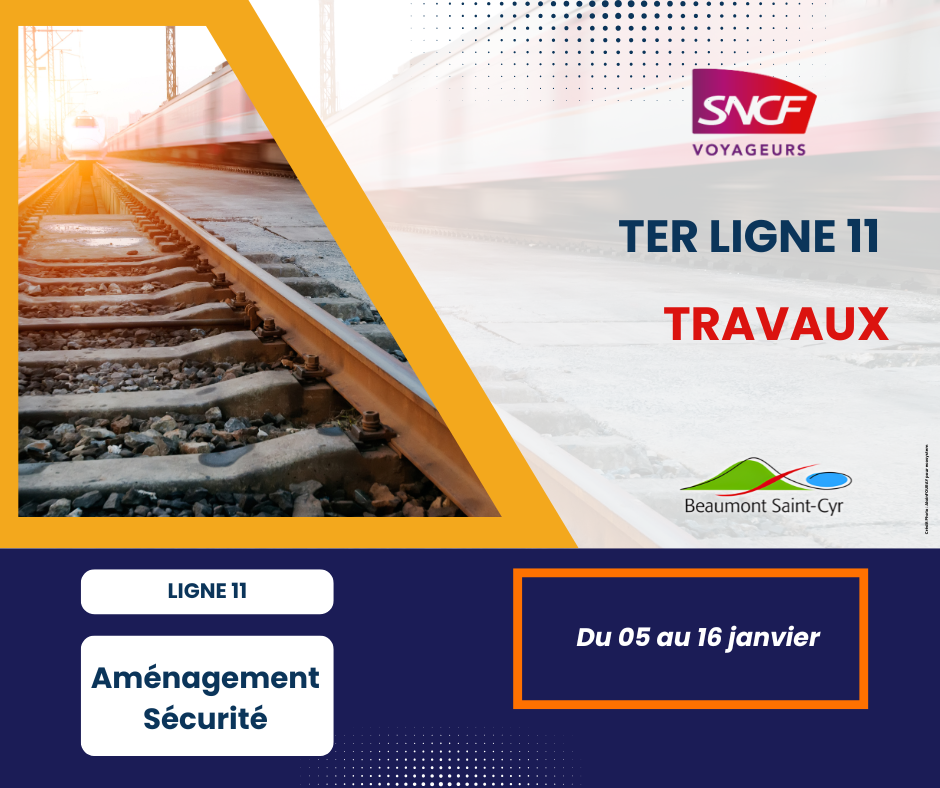 Ligne 11 TER Nouvelle Aquitaine .png