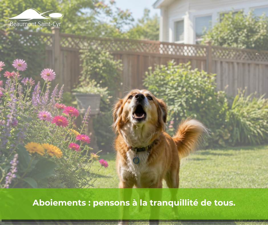 vivre ensemble 2026 aboeiement.png
